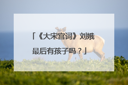 《大宋宫词》刘娥最后有孩子吗？