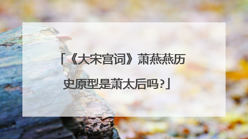 《大宋宫词》萧燕燕历史原型是萧太后吗?