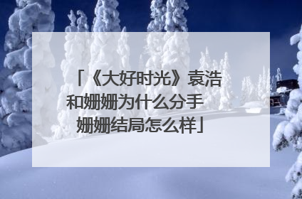 《大好时光》袁浩和姗姗为什么分手 姗姗结局怎么样