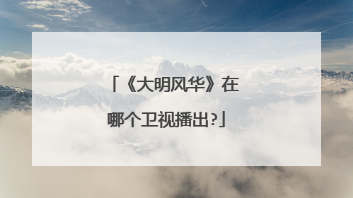 《大明风华》在哪个卫视播出?