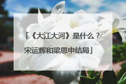 《大江大河》是什么?宋运辉和梁思申结局