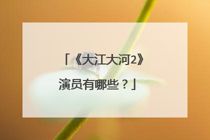 《大江大河2》演员有哪些?