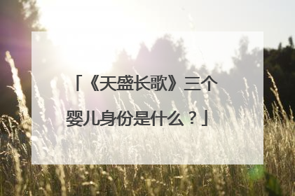 《天盛长歌》三个婴儿身份是什么?