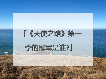 《天使之路》第一季的冠军是谁?