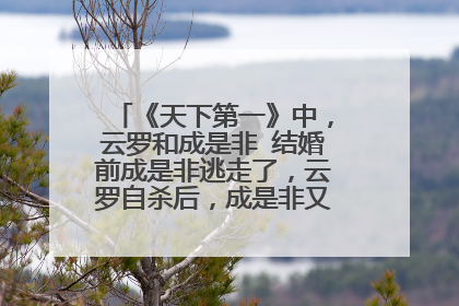 《天下第一》中,云罗和成是非 结婚前成是非逃走了,云罗自杀后,成是非又回来了 是哪集?