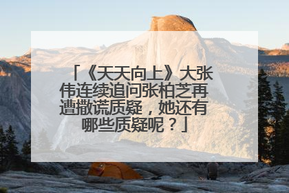 《天天向上》大张伟连续追问张柏芝再遭撒谎质疑，她还有哪些质疑呢？
