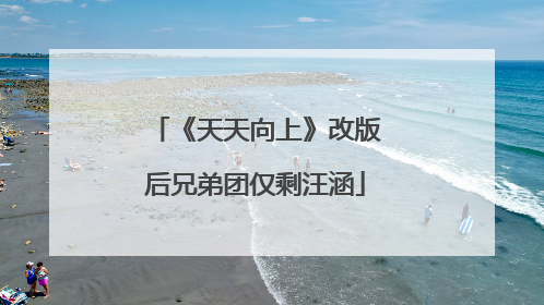 《天天向上》改版后兄弟团仅剩汪涵