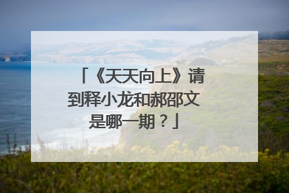 《天天向上》请到释小龙和郝邵文是哪一期？