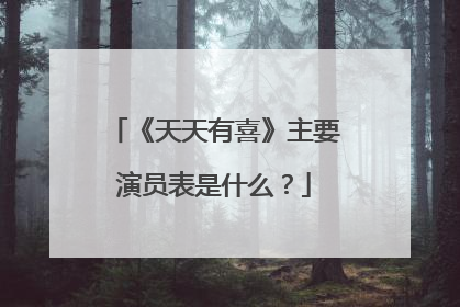 《天天有喜》主要演员表是什么？