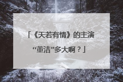 《天若有情》的主演 “董洁”多大啊?
