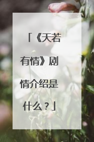 《天若有情》剧情介绍是什么？
