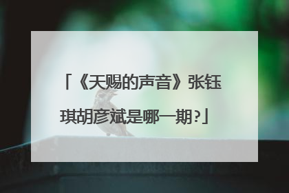 《天赐的声音》张钰琪胡彦斌是哪一期?