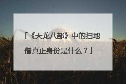 《天龙八部》中的扫地僧真正身份是什么？