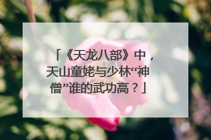 《天龙八部》中，天山童姥与少林“神僧”谁的武功高？