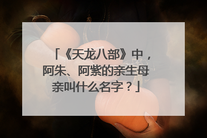 《天龙八部》中,阿朱、阿紫的亲生母亲叫什么名字?