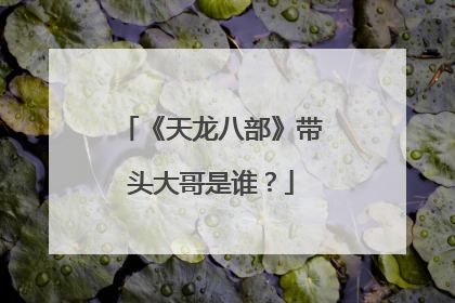 《天龙八部》带头大哥是谁？