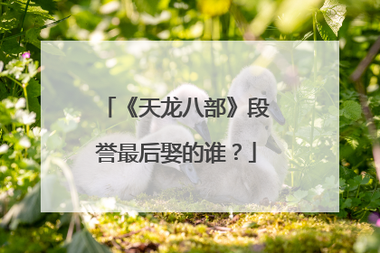 《天龙八部》段誉最后娶的谁?