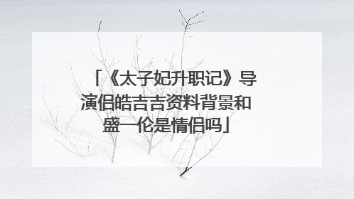 《太子妃升职记》导演侣皓吉吉资料背景和盛一伦是情侣吗