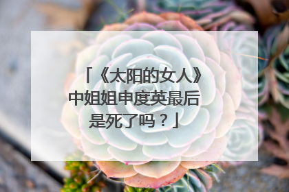 《太阳的女人》中姐姐申度英最后是死了吗？