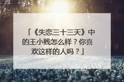 《失恋三十三天》中的王小贱怎么样?你喜欢这样的人吗?