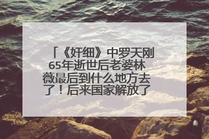 《奸细》中罗天刚65年逝世后老婆林薇最后到什么地方去了!后来国家解放了却没有见面?