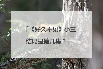 《好久不见》小三结局是第几集?