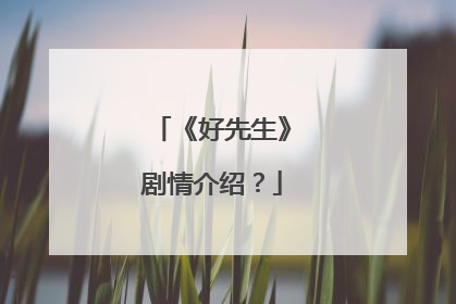 《好先生》剧情介绍？