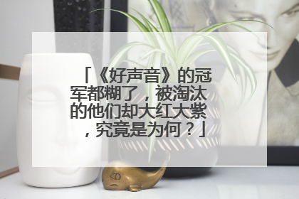 《好声音》的冠军都糊了,被淘汰的他们却大红大紫,究竟是为何?