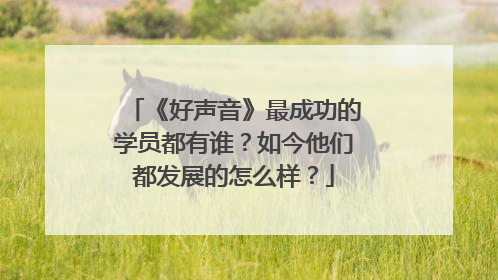 《好声音》最成功的学员都有谁?如今他们都发展的怎么样?