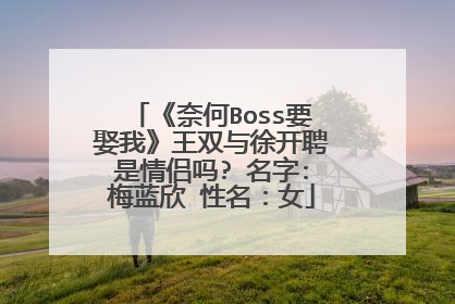 《奈何Boss要娶我》王双与徐开聘是情侣吗? 名字:梅蓝欣 性名:女