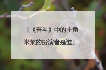 《奋斗》中的主角米莱的扮演者是谁