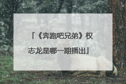 《奔跑吧兄弟》权志龙是哪一期播出