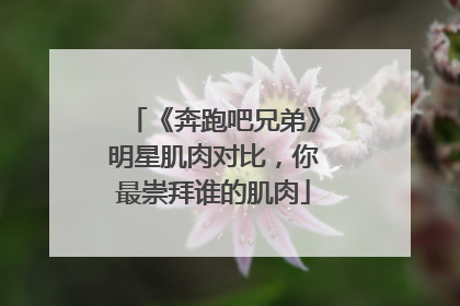 《奔跑吧兄弟》明星肌肉对比，你最崇拜谁的肌肉