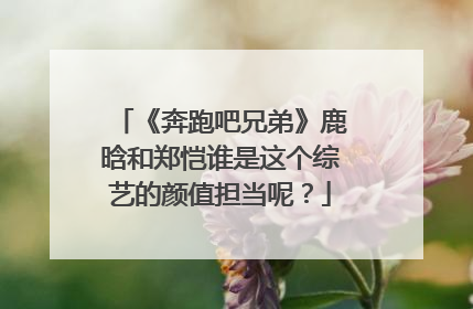 《奔跑吧兄弟》鹿晗和郑恺谁是这个综艺的颜值担当呢？
