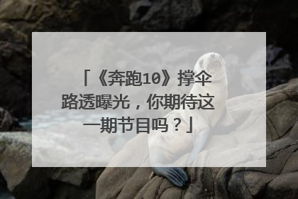 《奔跑10》撑伞路透曝光,你期待这一期节目吗?