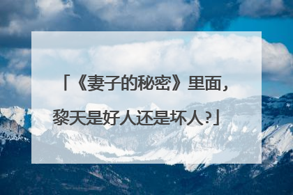《妻子的秘密》里面,黎天是好人还是坏人?