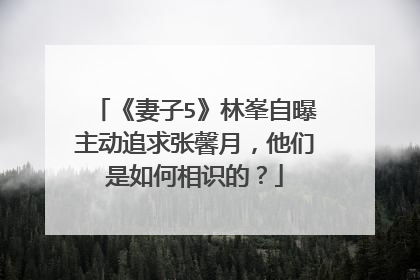 《妻子5》林峯自曝主动追求张馨月，他们是如何相识的？