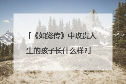 《如懿传》中玫贵人生的孩子长什么样?