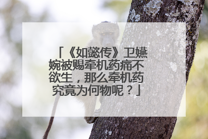 《如懿传》卫嬿婉被赐牵机药痛不欲生，那么牵机药究竟为何物呢？