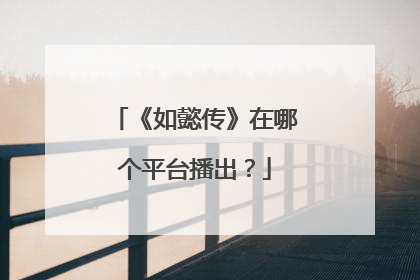 《如懿传》在哪个平台播出？