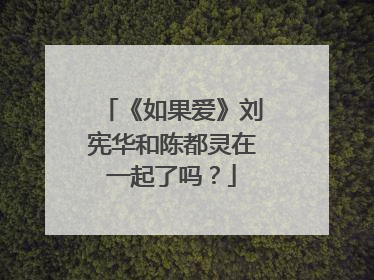 《如果爱》刘宪华和陈都灵在一起了吗？
