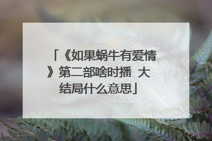 《如果蜗牛有爱情》第二部啥时播 大结局什么意思