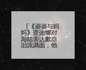 《婆婆与妈妈》麦迪娜对海陆表达歉意泪流满面，他俩之间到底发生过什么？