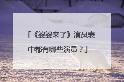 《婆婆来了》演员表中都有哪些演员?