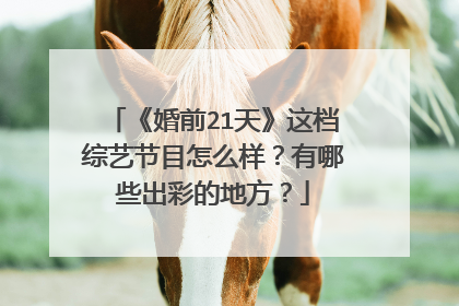 《婚前21天》这档综艺节目怎么样?有哪些出彩的地方?