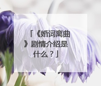 《婚词离曲》剧情介绍是什么？