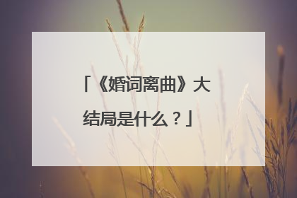 《婚词离曲》大结局是什么?
