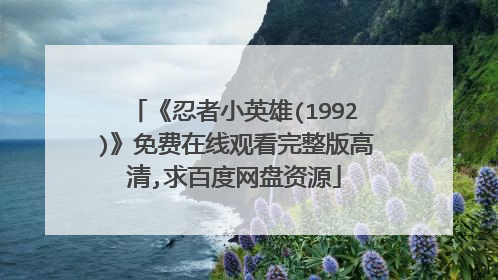 《忍者小英雄(1992)》免费在线观看完整版高清,求百度网盘资源