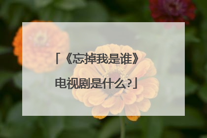 《忘掉我是谁》 电视剧是什么?