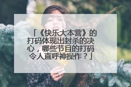 《快乐大本营》的打码体现出封杀的决心,哪些节目的打码令人直呼神操作?